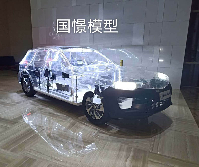 扬州透明车模型